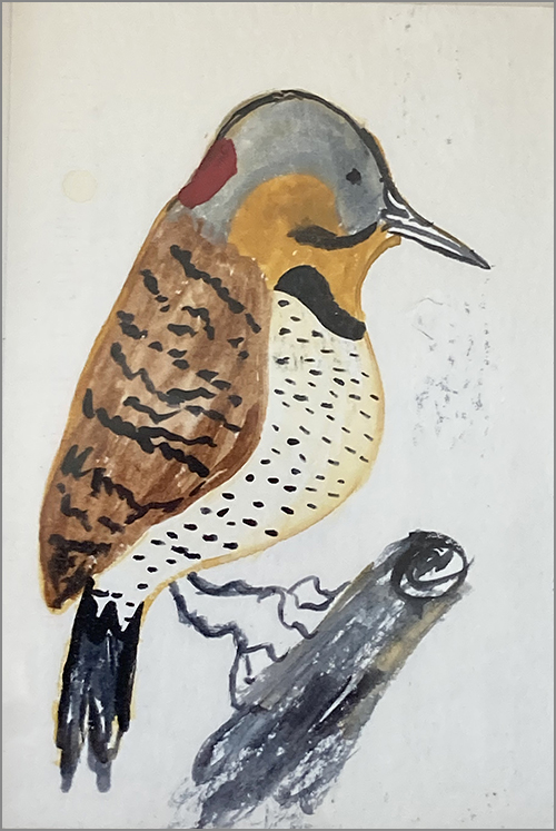 Common Flicker