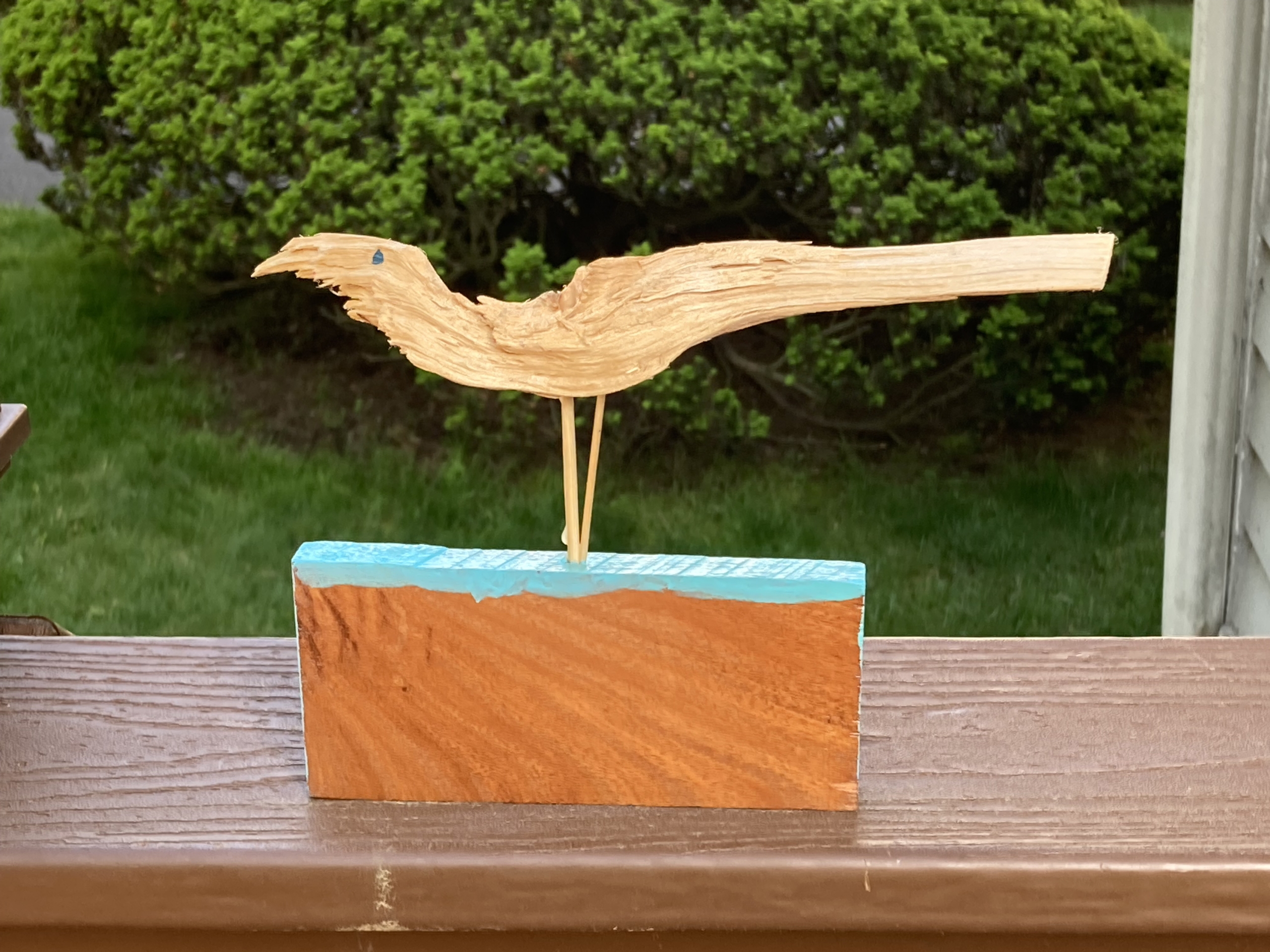Shore Bird